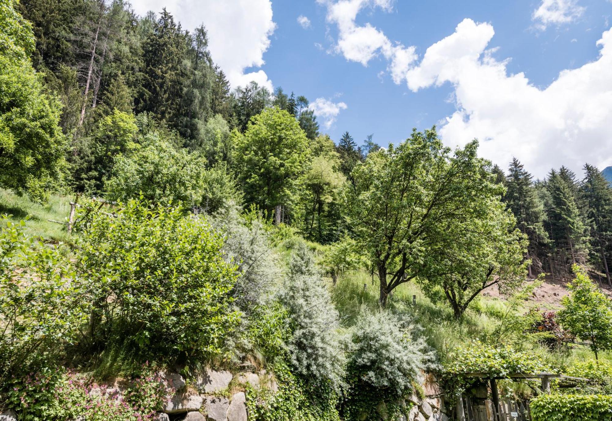 Naturresidenz Mair Zu Hof Кампо Турес Екстериор снимка